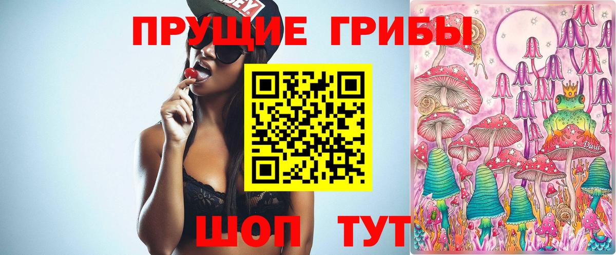 Лосино-Петровский  Псилоцибиновые грибы Cubensis  Вход с VPN  Псилоцибиновые грибы Magic Shrooms 