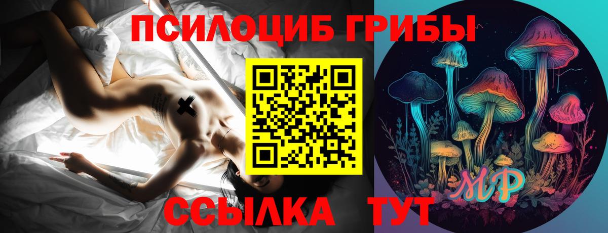 Псилоцибиновые грибы мицелий Лосино-Петровский